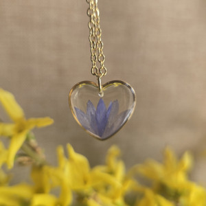 0Złote serce chabrami serduszko chabry chabr