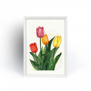 Akwarela. Tulipany  A4