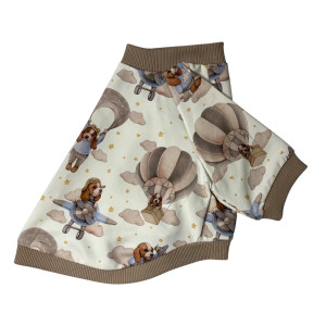 Bluza dla psa z raglanowym rękawem