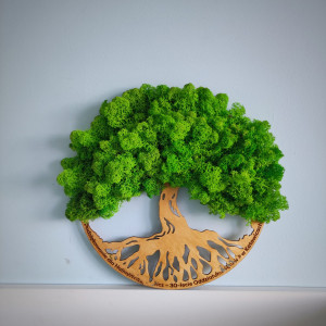 Bonsai drzewo życia mech chrobotek