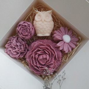 Box prezentowy z sową. Prezent na Dzień Nauczyciela