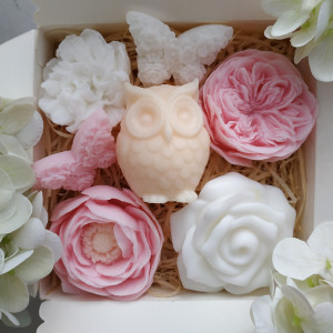 Box z sową Dzień Nauczyciela