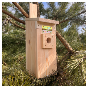 Budka lęgowa dla ptaków – typ A | Solidna i naturalna