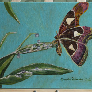 Ćma Atlas 30x40 cm (Motyl) Akryl ręcznie malowany