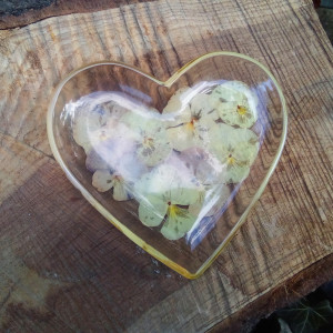 Dekoracyjne serce kwiaty bratka