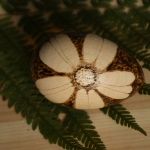 drewniane jajko - kwiat