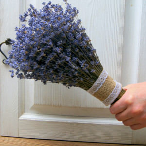 Duży  Bukiet  suszonej lawendy lawenda