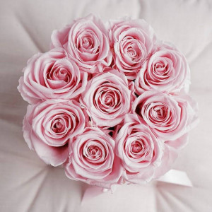 Flower box z 6 wiecznych róż / dowolna kolorystyka