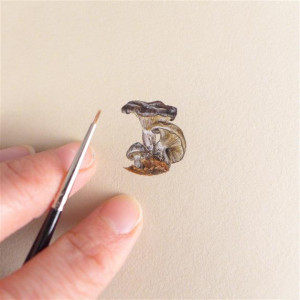Grzyby, miniatura 2,5 cm ! Ilustracja botaniczna