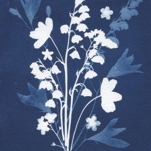 Ilustracja botaniczna Wiosenny bukiet