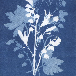 Ilustracja botaniczna Wiosenny bukiet II