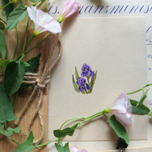 Irysy, Botanical illustration, miniatura