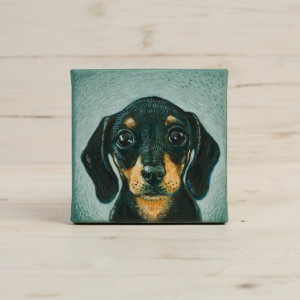 Jamnik - mini portret szczeniaczka