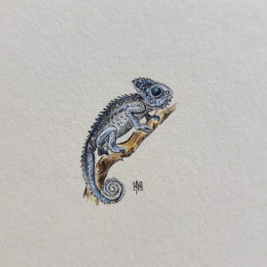 Kameleon, miniatura