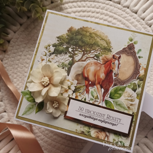 Kartka urodzinowa personalizowana w pudełku, koń, jazda konna, ab1