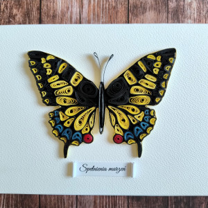 Kartka z motylem -PAŹ KRÓLOWEJ - quilling