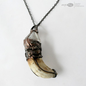 Kieł dzika z kryształem 02