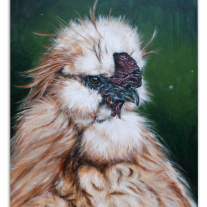 Kogut Silka, obraz akrylowy