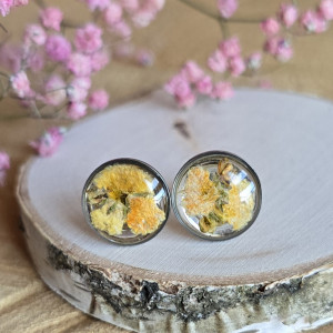 Kolczyki kwiaty żółta gipsówka suszone