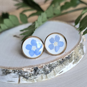 Kolczyki z prawdziwymi kwiatami niezapominajki