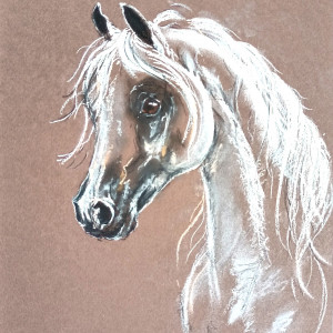 Koń arabski - rysunek, pastele