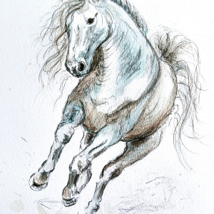 Koń w galopie - akwarela 19 x 26cm