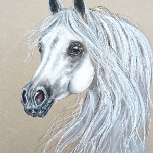 Konik - pastele