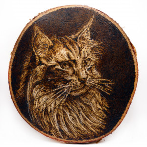 Kot Maine Coon- pirografia (18x19 cm) obraz wypalany na drewnie