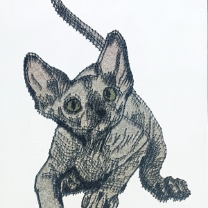 KOT SFINKS obraz string art