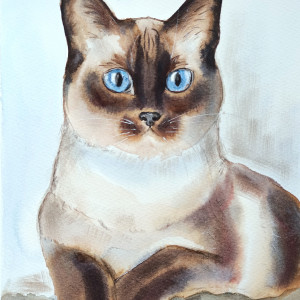 Kot syjamski - akwarela