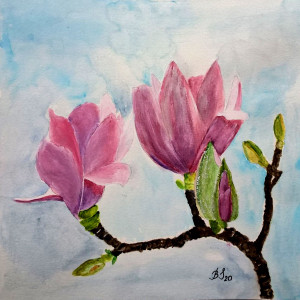 Kwiaty magnolii,  akwarela. Format   22x25 cm.