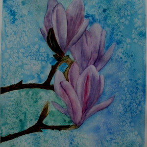 Kwiaty magnolii, akwarela. Format   24x32 cm.