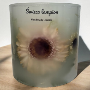 Lampion Botaniczny -Pastelowa Gerbera