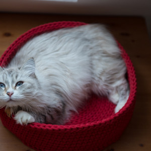 Legowisko dla kota Cat Nest M czerwone