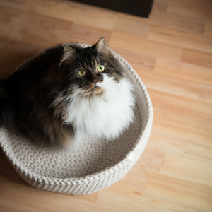 Legowisko dla kota duże Cat Nest Beżowe