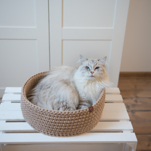Legowisko dla kota średnie Cat Nest Beżowe