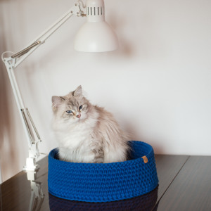 Legowisko dla kota średnie Cat Nest Chaber