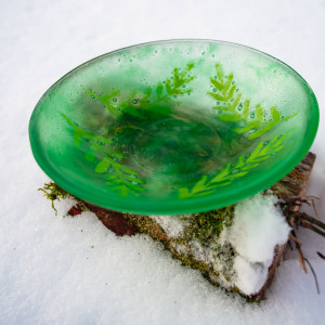 Misa szklana pamięć paproci