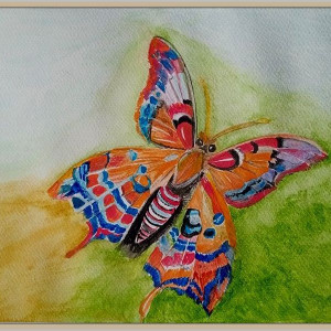 Motyl, akwarela formatu 24x32 cm.