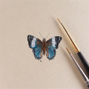 Motyl, miniatura akwarela ręcznie malowana