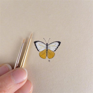 Motyl żółty , owad, miniatura, obrazek