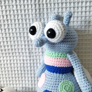 mucha Marcin, muszka, owad