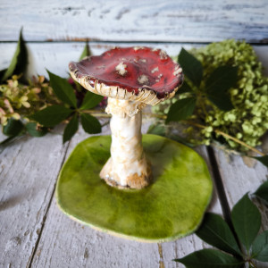 Muchomor AMANITA MUSCARIA