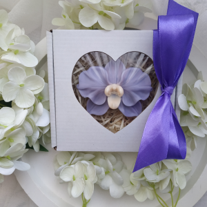 Mydełko orchidea lawendowa