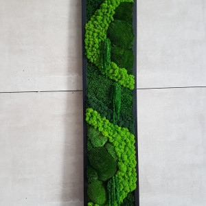 Obraz z mchem i roślinami stabilizowanymi w ramie 110x25 cm