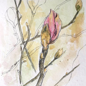 Pąki magnolii, obraz, akwarela oryginalna a4