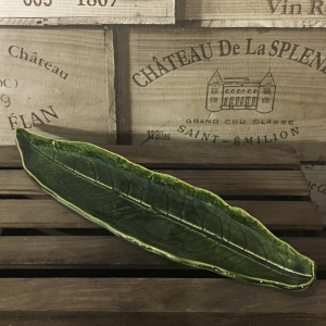 Paterka - długi liść