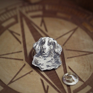 Pies berneńczyk broszka - przypinka ze srebra
