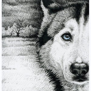 Pies Husky - Wydruk Fine Art A4, A3