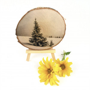 Plaster drewna – zimowe drzewko